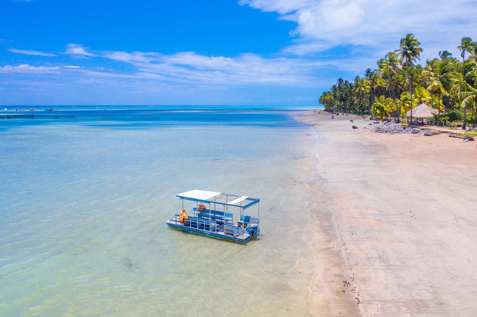 pontoon boat near shore