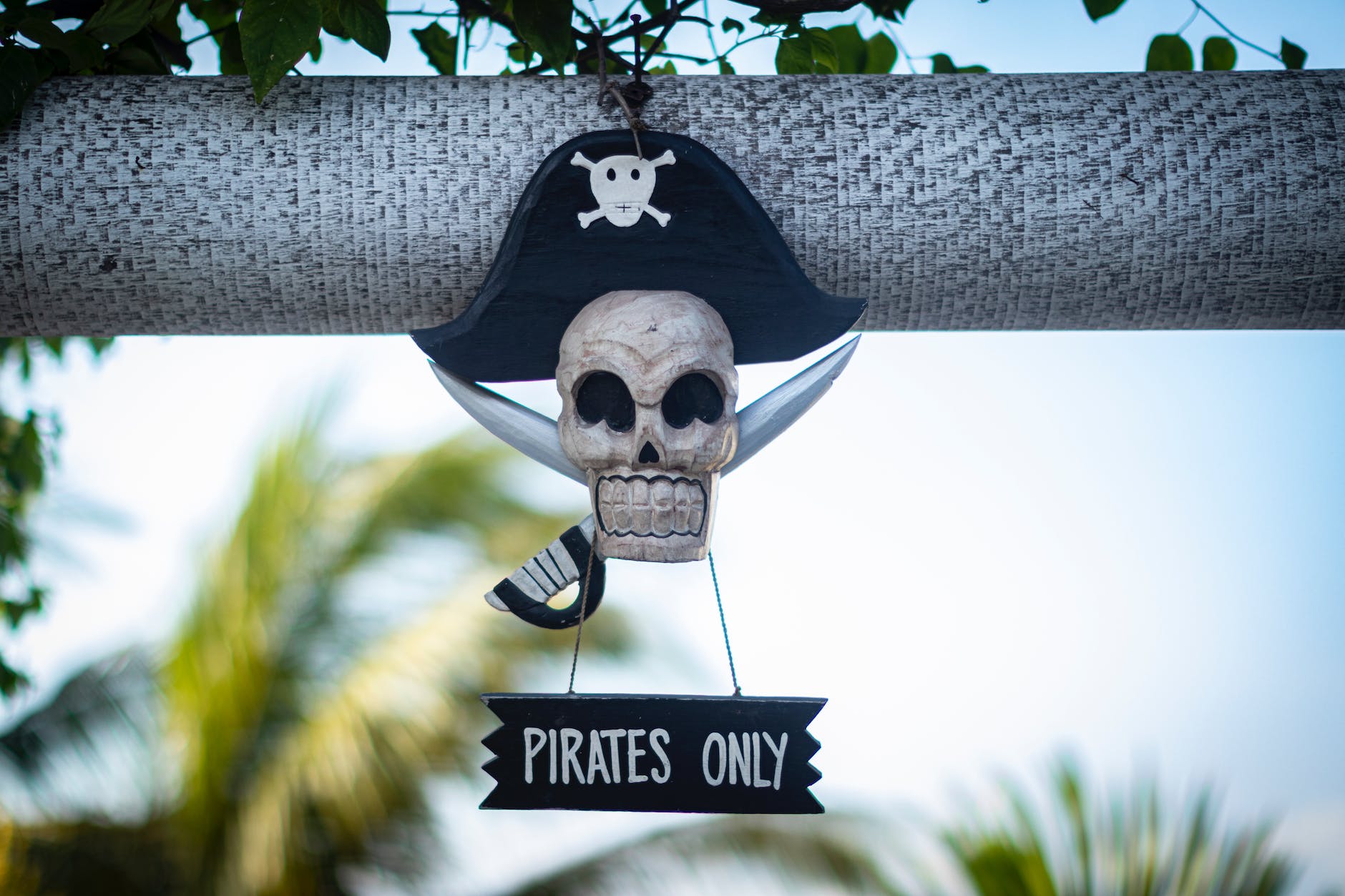 black and white skull hanging decor